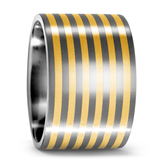 Ring Titanium, 18k Yellow Gold