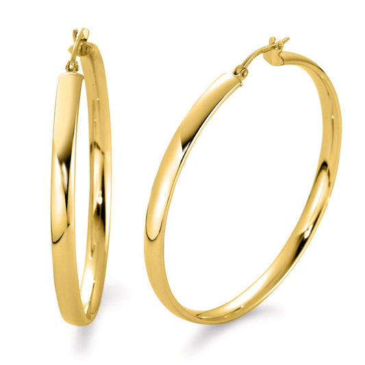 Hoop earrings Silver Yellow Gold plated