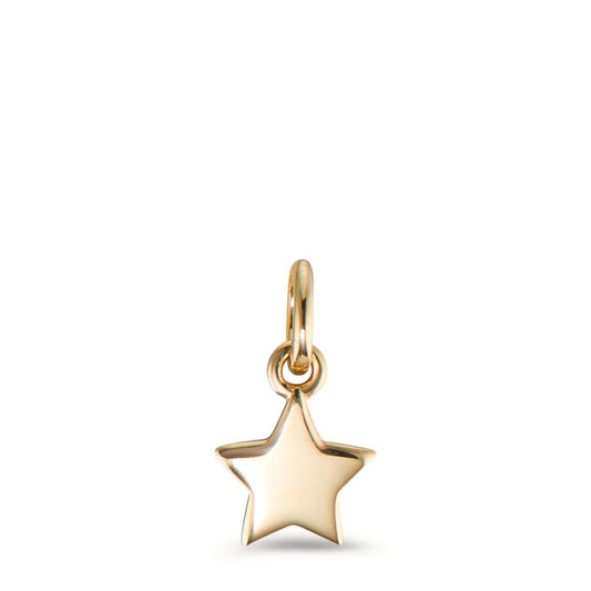 Pendant 9k Yellow Gold Star Ø6 mm