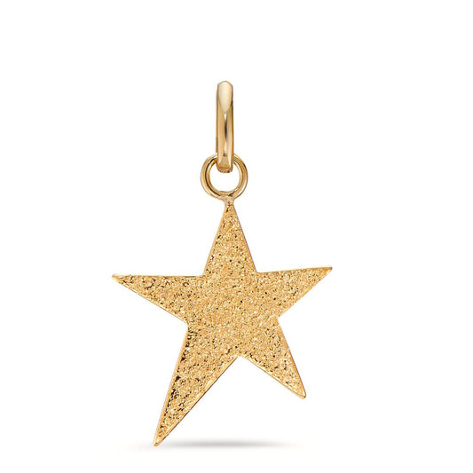 Pendant 9k Yellow Gold Star Ø14 mm